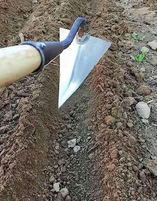 6501